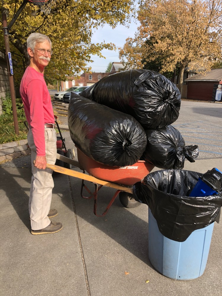 Bags of leaves in a wheelbarrow